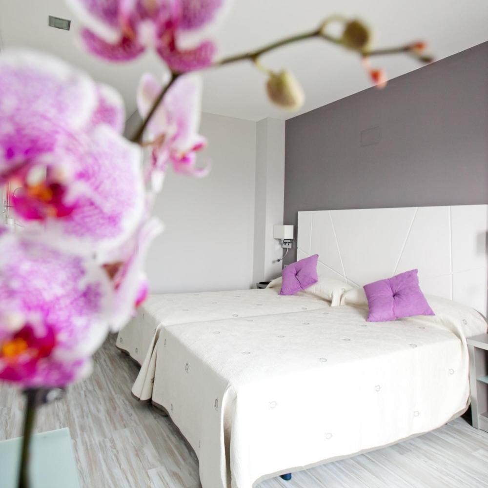 Alix Boutique Hotel Arteixo Ngoại thất bức ảnh
